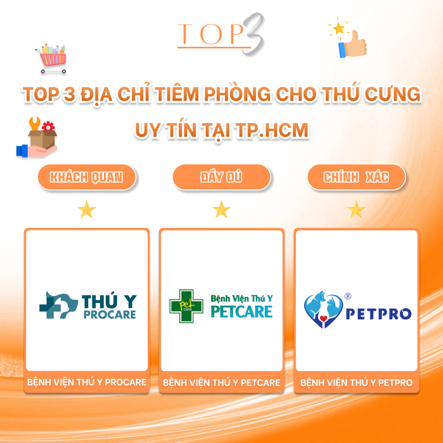 TOP 3 ĐỊA CHỈ TIÊM PHÒNG CHO THÚ CƯNG UY TÍN TẠI TP.HCM