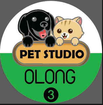 Top 3 tiệm pet shop uy tín, chất lượng - Mọi người tin tưởng  tại Thủ Dầu Một, Bình Dương