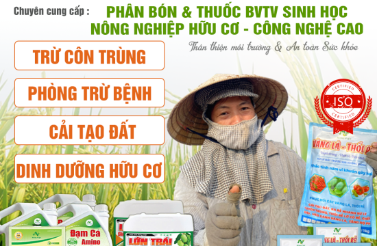 Top 3 Đơn Vị Cung Cấp Phân Bón Và Thuốc Kích Thích Tăng Trưởng Uy Tín, Chất Lượng Hàng Đầu Hiện Nay