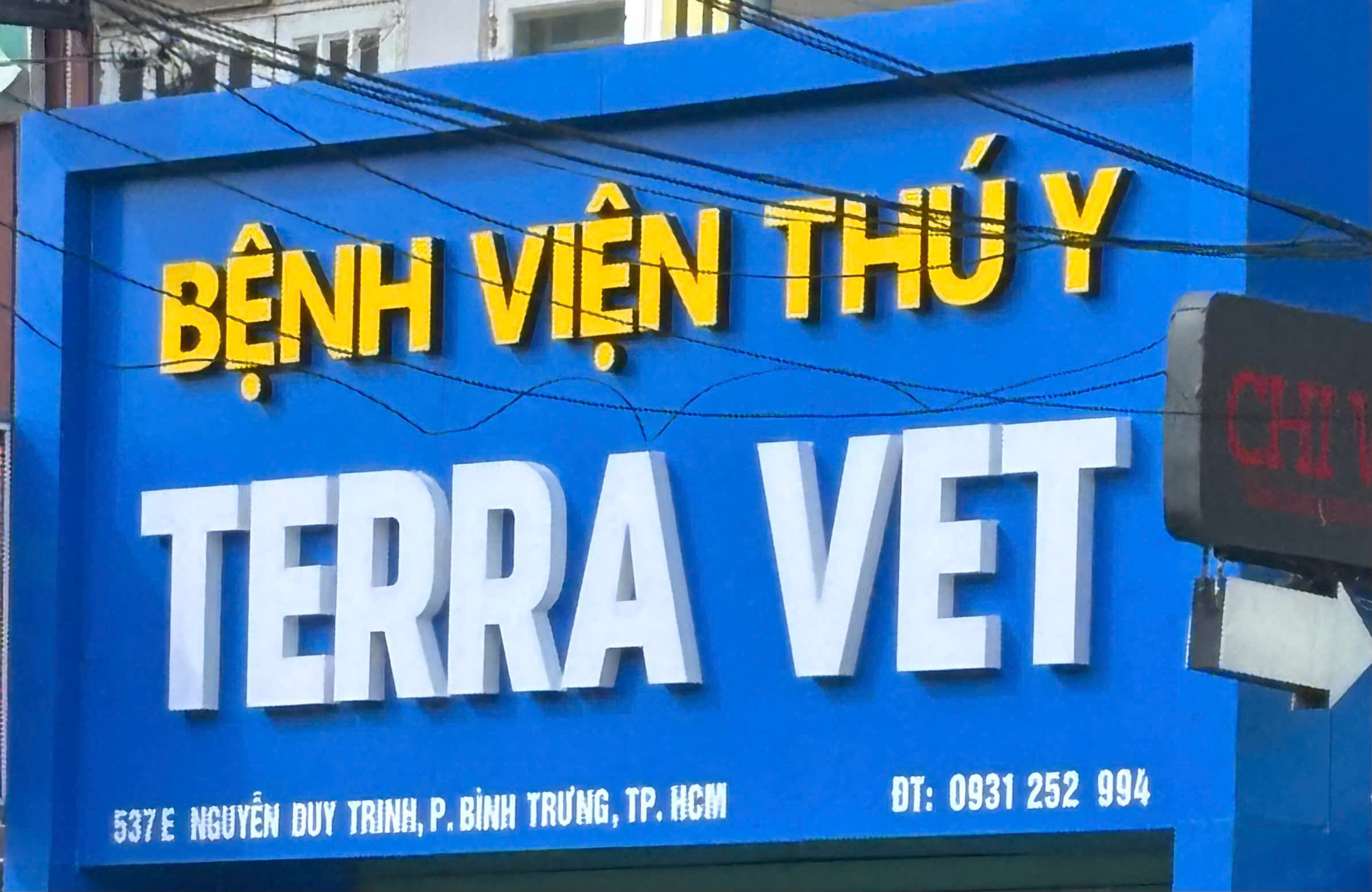 TOP 3 BỆNH VIỆN THÚ Y UY TÍN TẠI THỦ ĐỨC – CHĂM SÓC CHUYÊN NGHIỆP CHO THÚ CƯNG