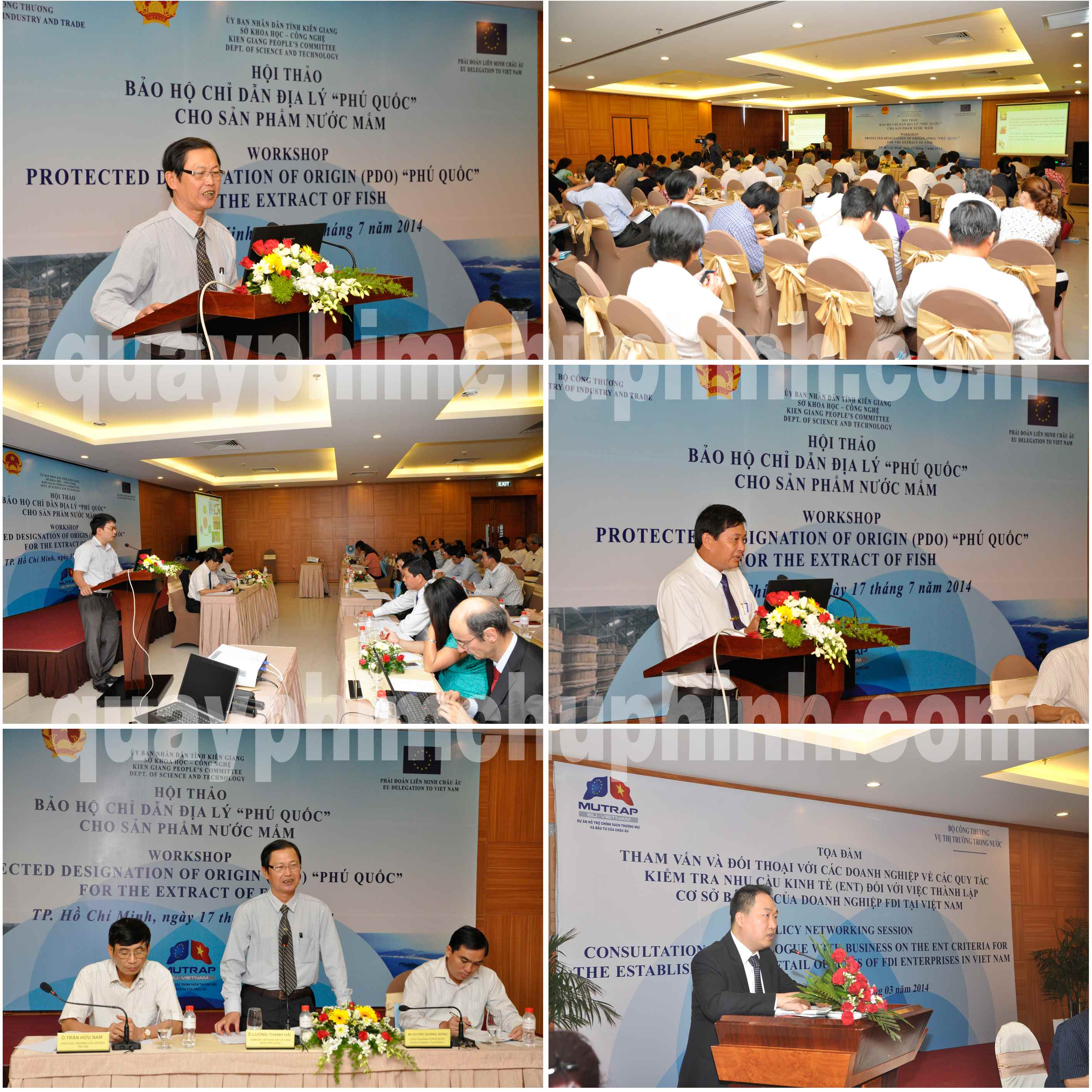 Quay phim, chụp ảnh sự kiện Thanh Nga