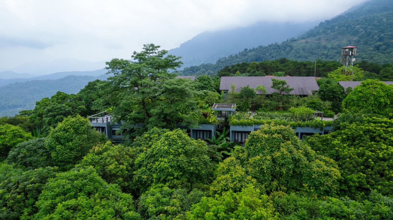 Top 3 Resort Tại Ba Vì Được Yêu Thích Nhất – Không Gian Nghỉ Dưỡng Xanh Gần Hà Nội