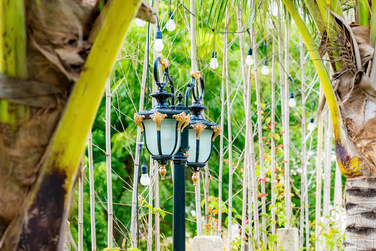 Top 3 Homestay Gần Mũi Né Đẹp, View Thiên Nhiên, Đáng Trải Nghiệm Nhất