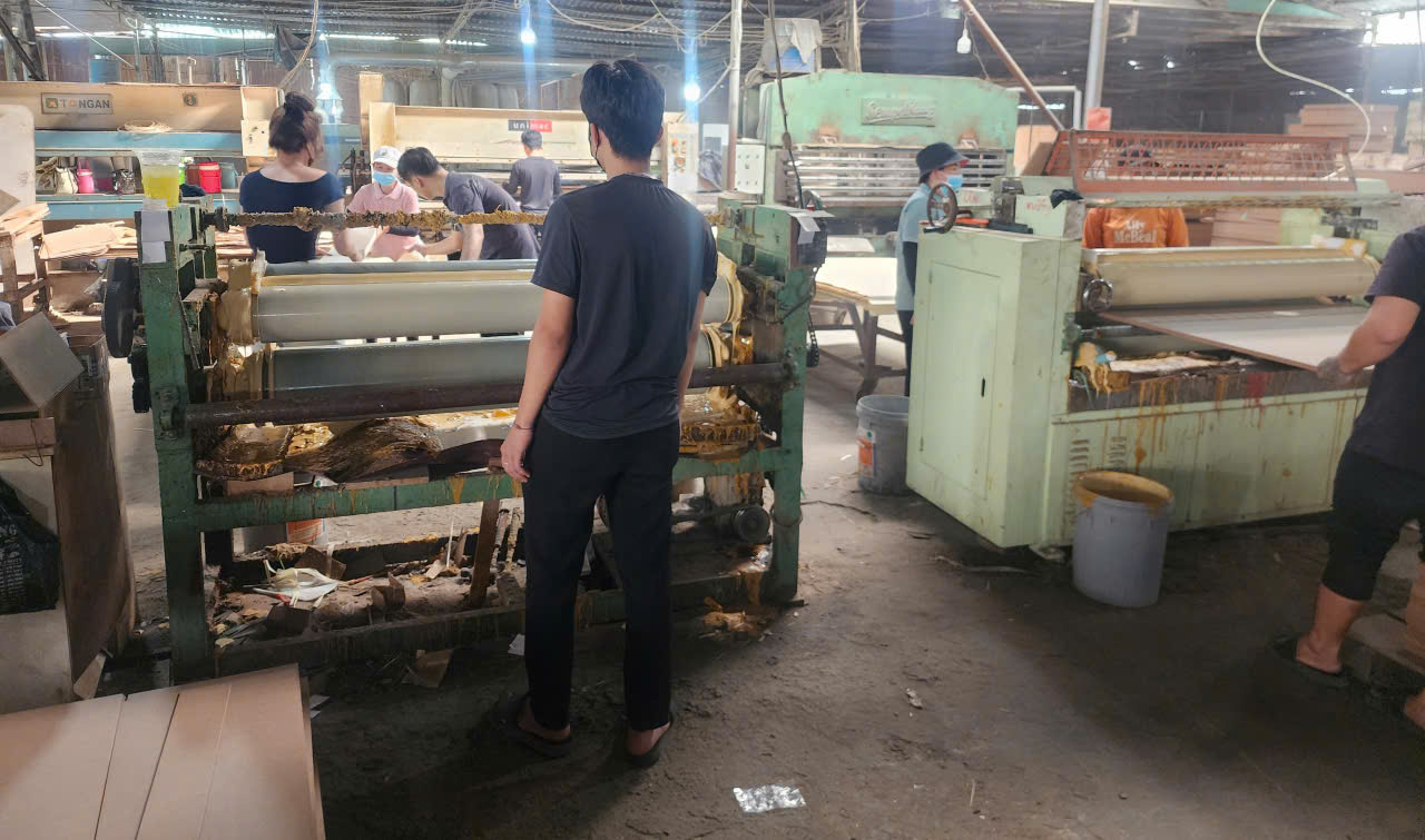 Top 3 Đơn Vị Gia Công Veneer Tại Bình Dương Uy Tín, Chất Lượng Cao