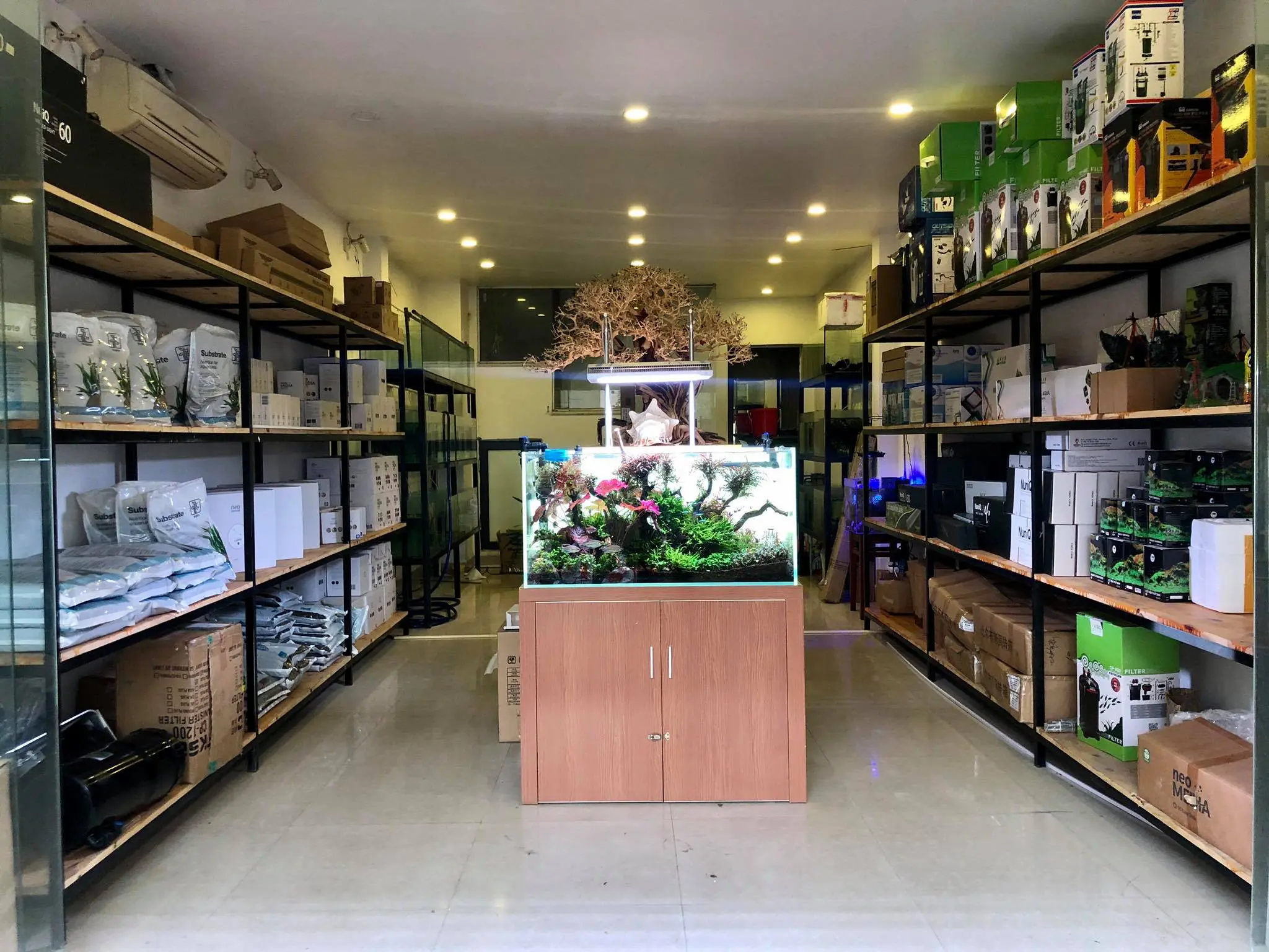 Top 3 cửa hàng thủy sinh tại Tân Phú