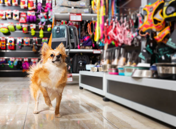 Top 3 Pet Shop tại Quận 8