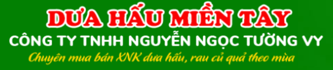 Top 3 Đơn Vị Cung Cấp Các Loại Dưa Hấu Uy Tín, Chất Lượng Tại Bến Tre