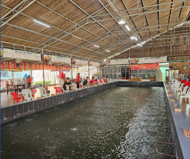 Top 3 địa điểm câu tôm giải trí lý tưởng tại thành phố Hồ Chí Minh