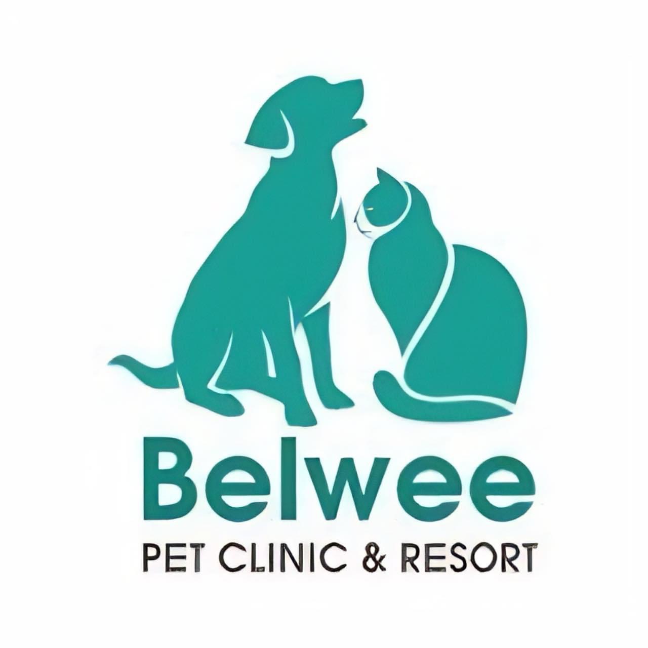 Top 3 PHÒNG KHÁM THÚ Y Uy Tín Nhất Tại Quận 3