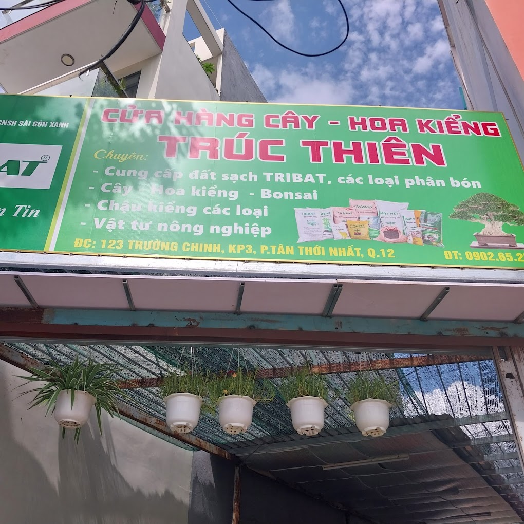 TOP 3 CỦA HÀNG CHẬU KIỂNG CHẤT LƯỢNG TẠI TPHCM