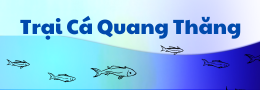 TOP 3 TRẠI CÁ GIỐNG UY TÍN CHẤT LƯỢNG CAO ĐỒNG NAI
