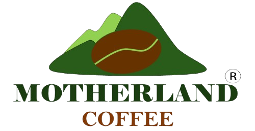 Top 3 Sản Phẩm Nổi Bật Của Motherland Coffee