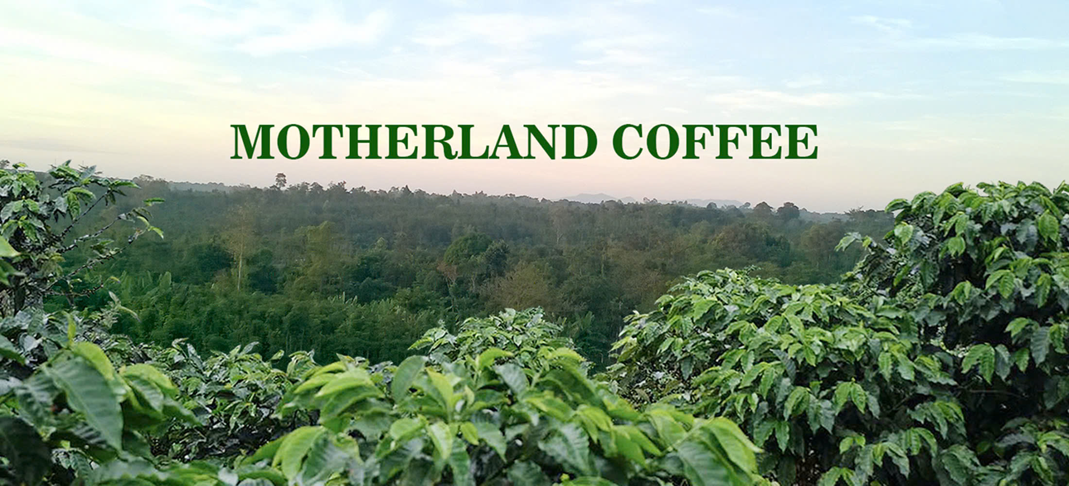 motherlandcoffee.vn