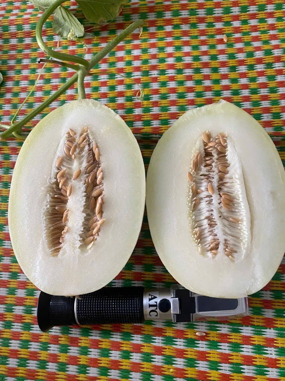 Top 3 Đơn Vị Sản Xuất Nông Sản Chất Lượng Tại Khu Vực Hồ Chí Minh – Nguồn Gốc Rõ Ràng, An Toàn, Ổn Định