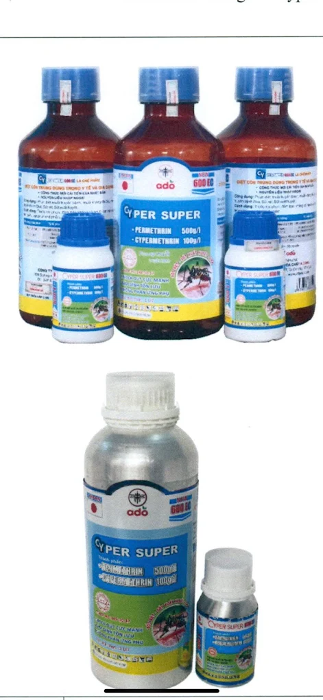 Top 3 Công Ty Trừ Mối & Khử Trùng Uy Tín, Chất Lượng tại Quận 4