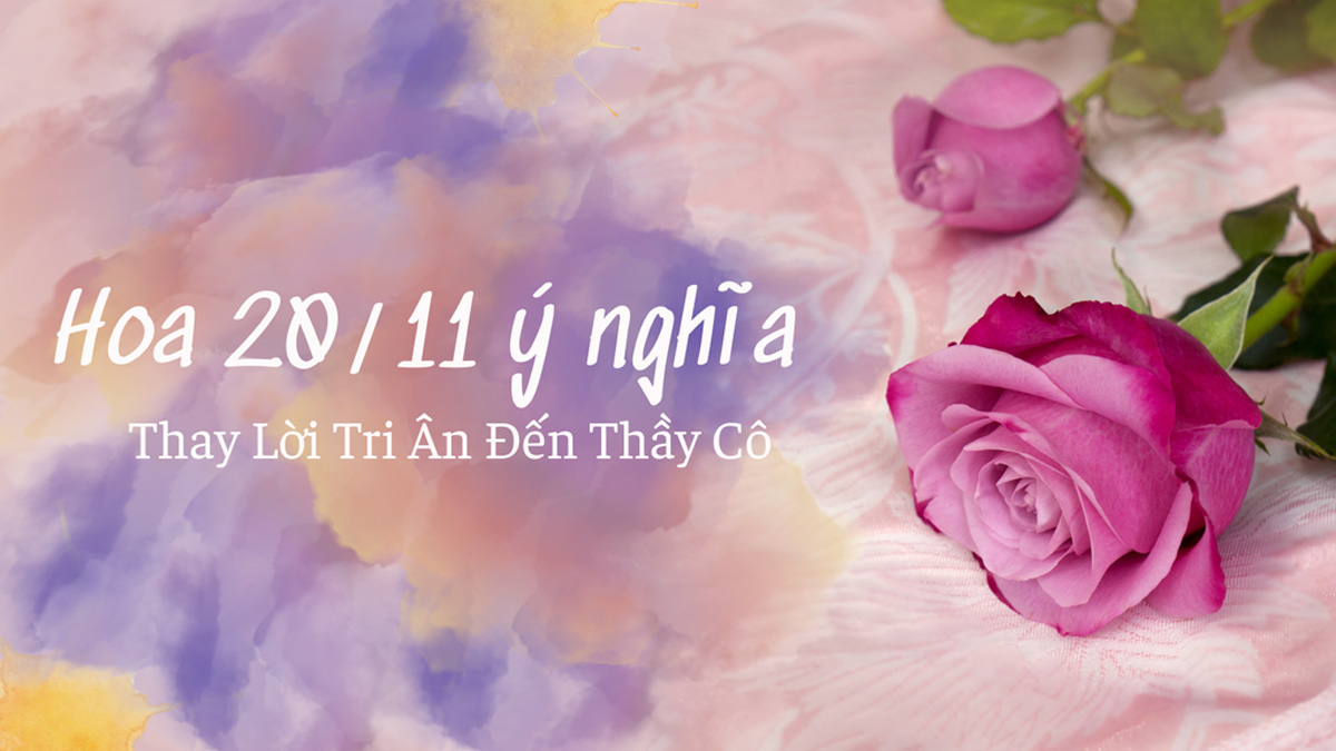 Top 3 Shop Hoa Tươi Bình Thạnh Đẹp Nhất Mùa 20/11 – Tặng Thầy Cô, Gửi Ngàn Tri Ân