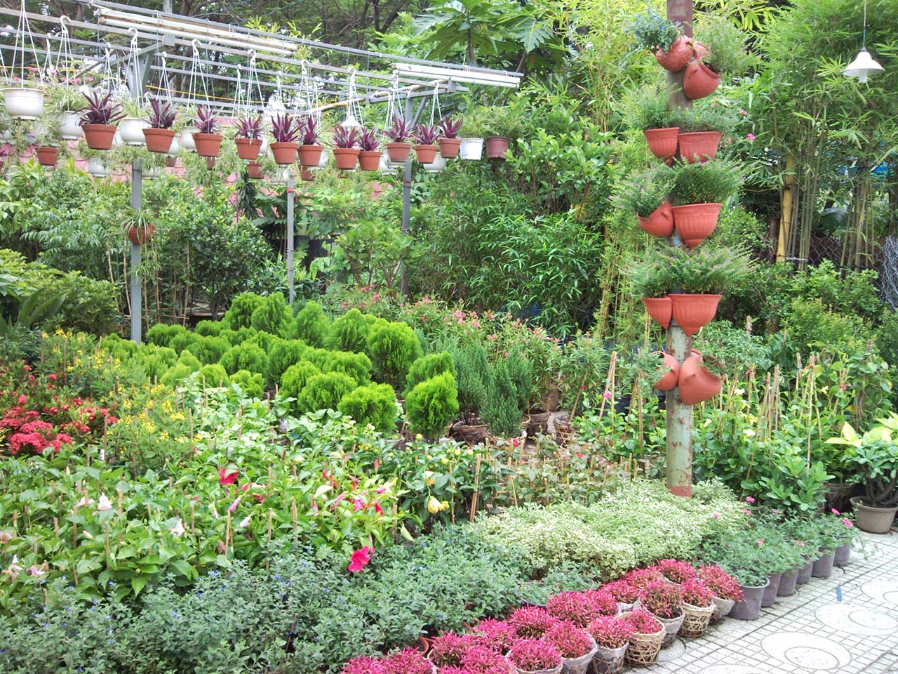 Địa điểm mua cây trồng và thi công sân vườn uy tín nhất Quận 7 - Khánh Linh Garden