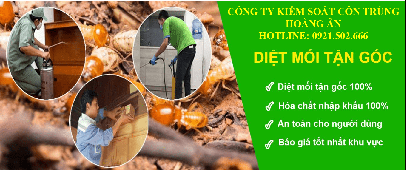 top 3 công ty diệt côn trùng uy tín nhất Hà Nội