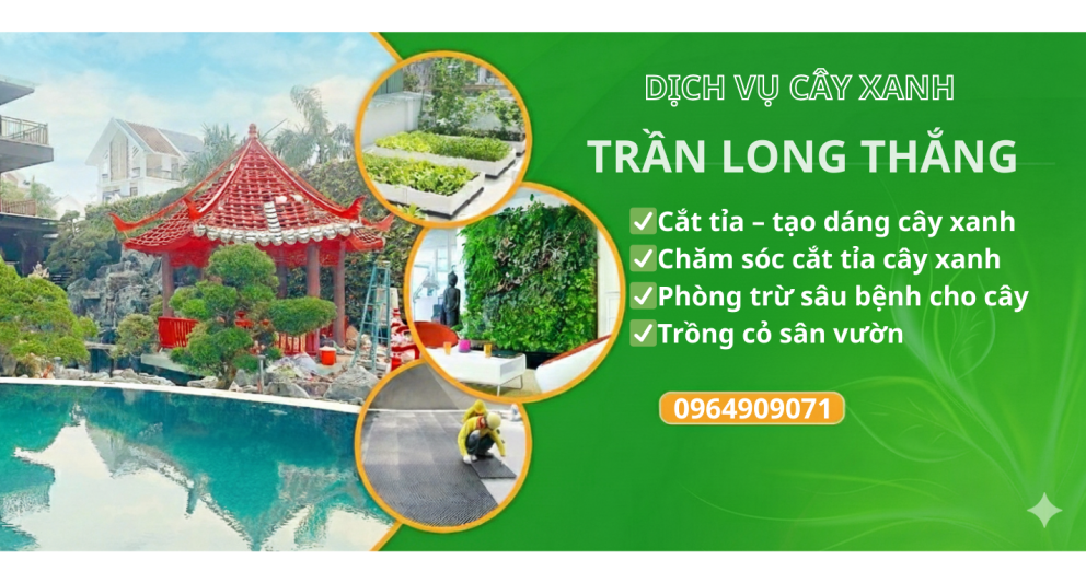 dich-vu-cay-xanh-1-1767076553.png.webp