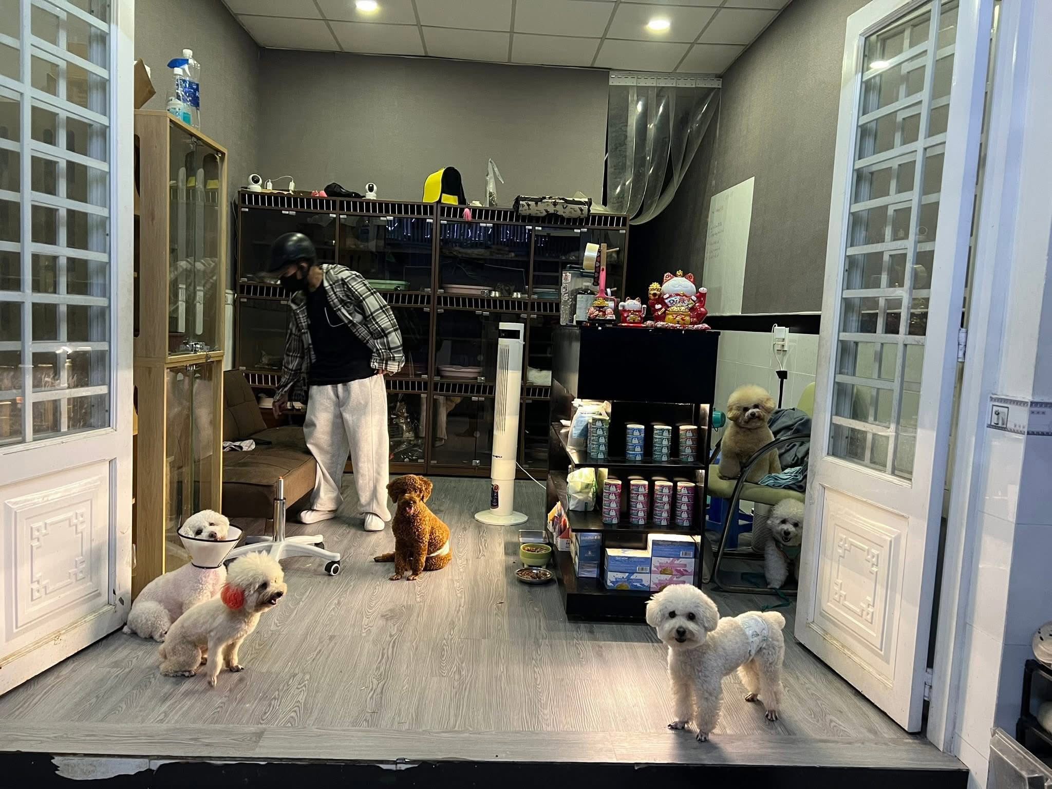 Top 3 Tiệm Làm Đẹp Thú Cưng & Pet Hotel Uy Tín, Chất Lượng Tại TP.HCM