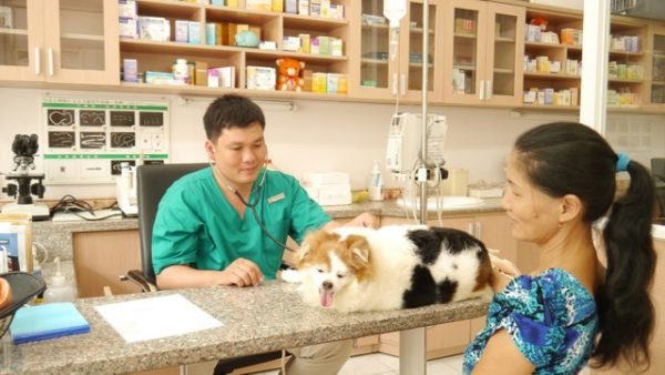 Như thế nào là một phòng khám thú y tốt ?