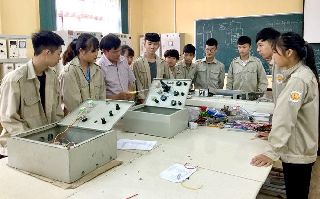 Tổ chức của Trung tâm giáo dục nghề nghiệp-giáo dục thường xuyên