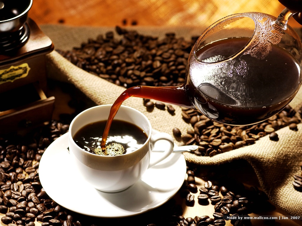 TOP 3 THƯƠNG HIỆU CÀ PHÊ ĐÁNG THAM KHẢO HIỆN NAY – PHONG NGUYÊN COFFEE NỔI BẬT VỚI GIẢI PHÁP CÀ PHÊ TOÀN DIỆN