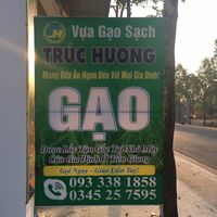 Top 3 đại lý phân phối gạo sạch uy tín tại Bình Dương