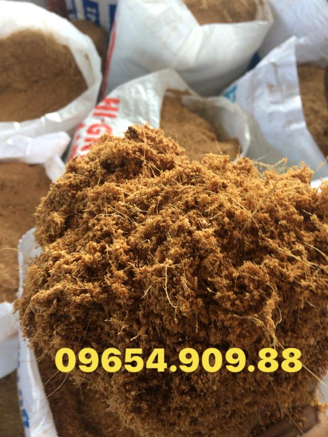 Mụn Dừa Và Phân Bò Khô: Giải Pháp Hữu Cơ Từ Cơ Sở Anh Duy Bến Tre Cho Nông Nghiệp Bền Vững