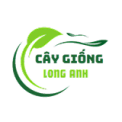 Top 3 Lý Do Bạn Nên Chọn Giống Cây Trồng Tại Cây Giống Long Anh – Trảng Bom, Đồng Nai