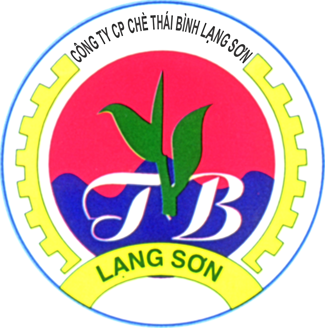CÔNG TY CỔ PHẦN CHÈ THÁI BÌNH LẠNG SƠN: Cơ sở Sản xuất Chè Uy Tín Hàng Đầu Tại Lạng Sơn