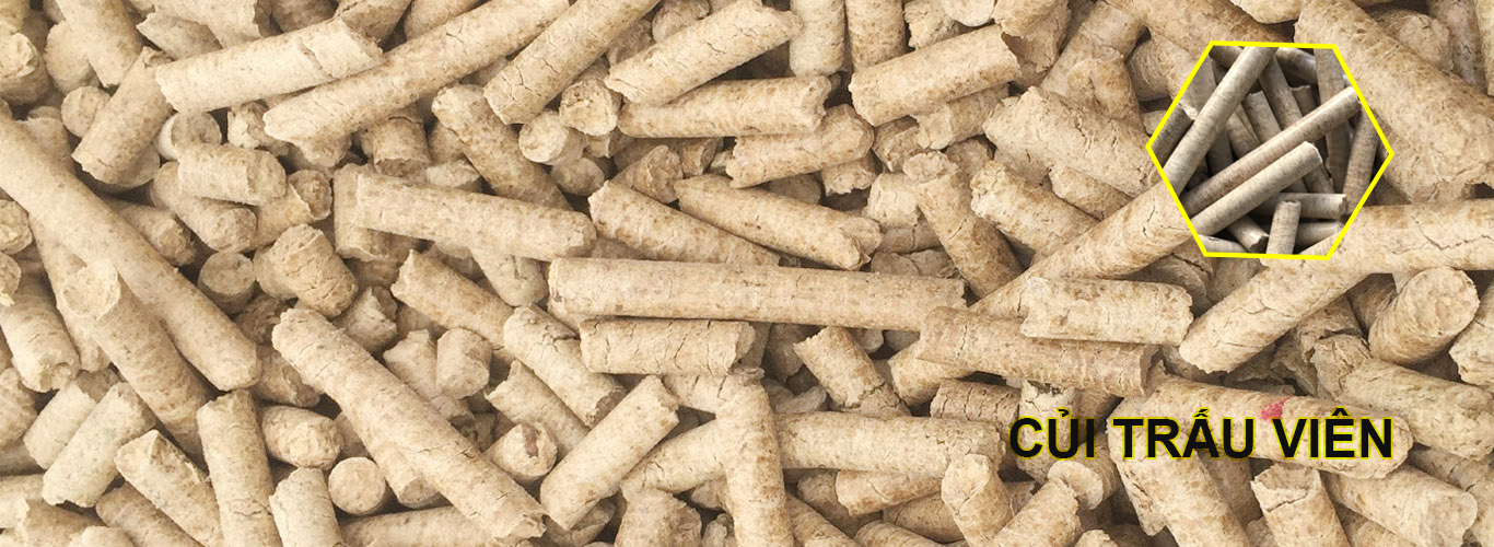 TOP 3 CÔNG TY CUNG CẤP CỦI TRẤU UY TÍN TẠI TP.HCM