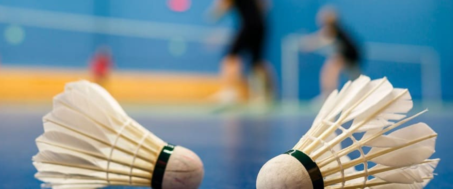 TOP 3 SÂN CẦU LÔNG UY TÍN TẠI BÌNH DƯƠNG ĐƯỢC NGƯỜI CHƠI TIN CHỌN