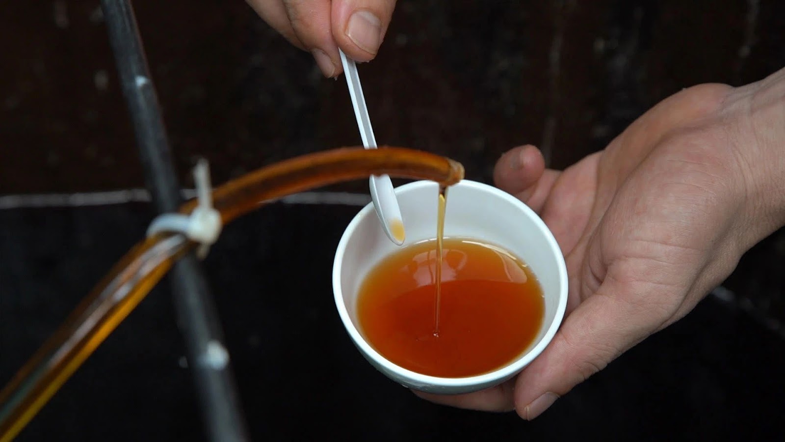 TOP 3 Công ty TNHH Sản Xuất Chế Biến Uy Tín