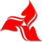 Top 3 Đơn Vị Công Ty Bao Bì Uy Tín Hàng Đầu Tại Củ Chi – Giải Pháp Đóng Gói Toàn Diện Cho Doanh Nghiệp