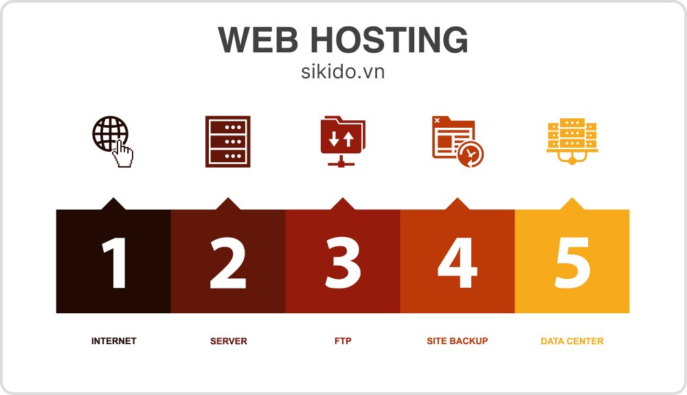 Dịch vụ website hosting của công ty Sikido