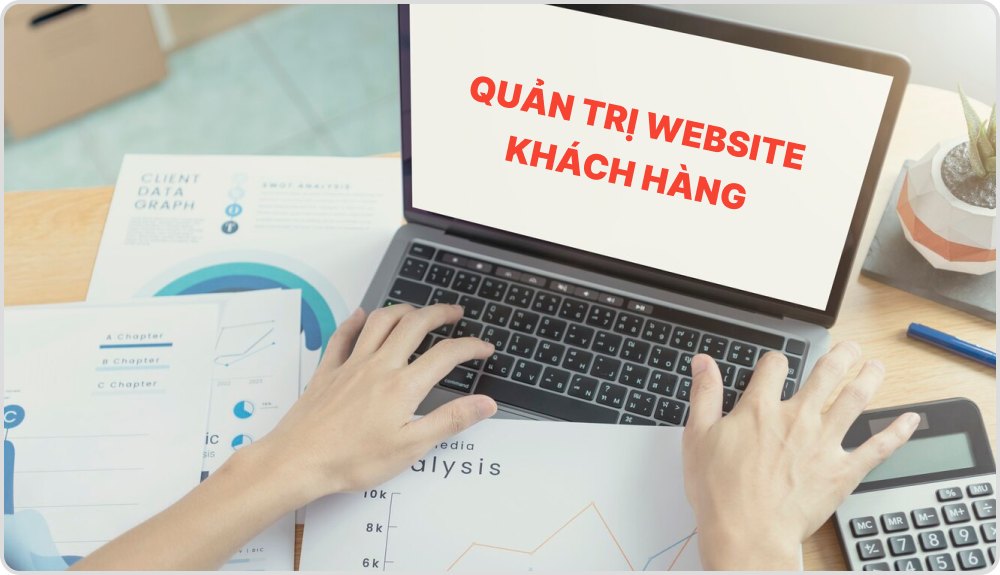 Dịch vụ quản trị website