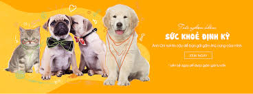 Top 3 Cửa Hàng Pet Shop Tại Quận 12