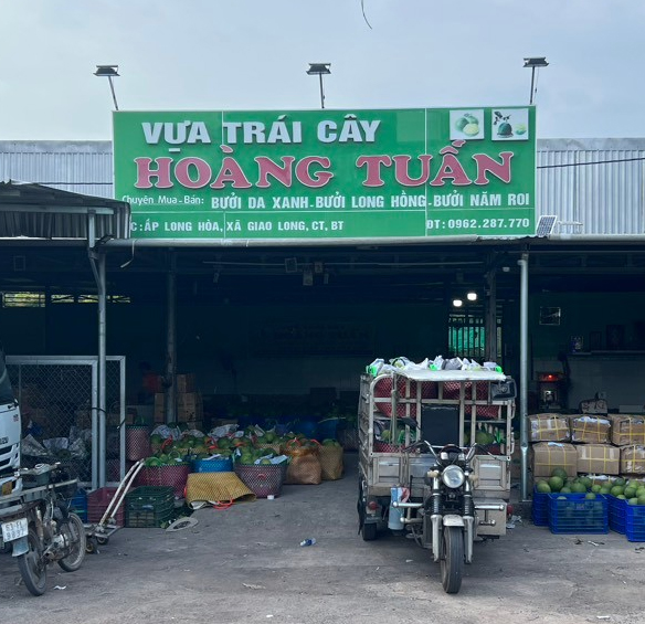 Top 3 địa chỉ bán bưởi da xanh Bến Tre ngon đúng chuẩn