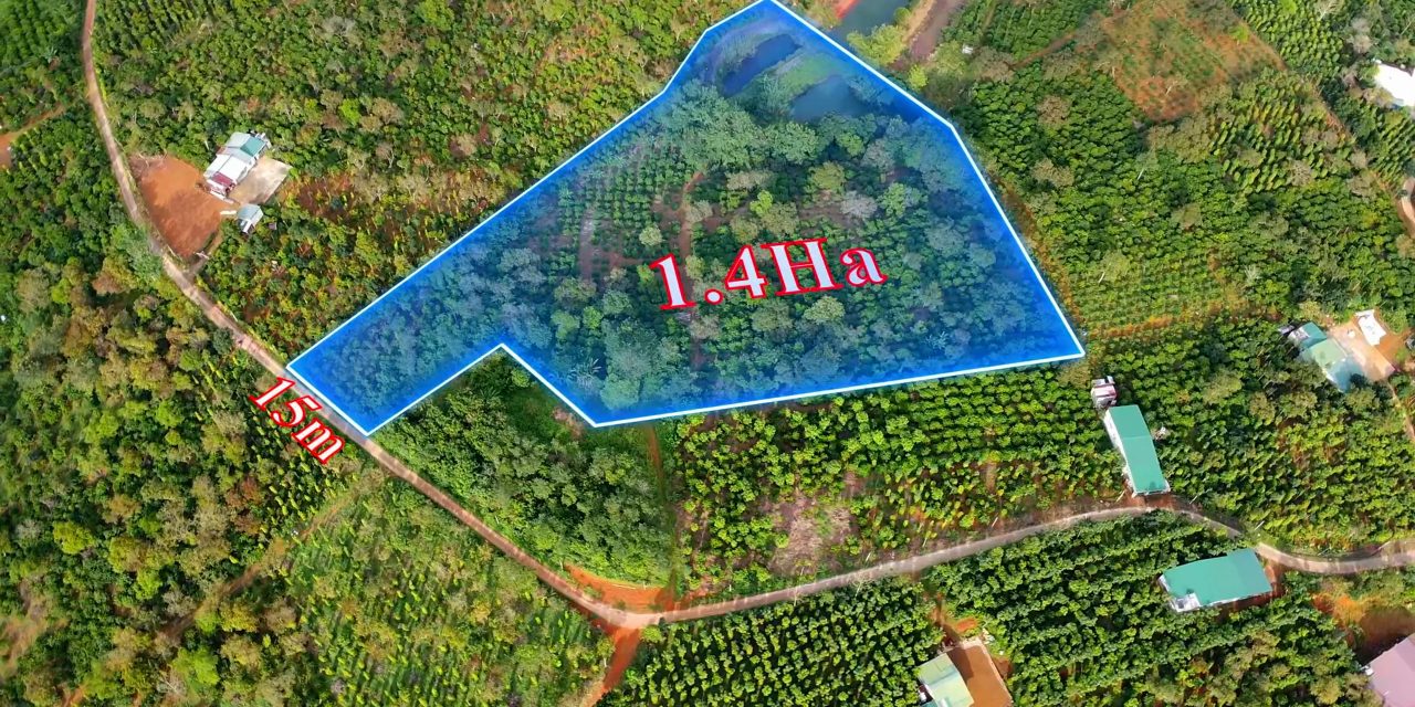 Top 3 đơn vị uy tín mua bán đất rẫy Đắk Nông