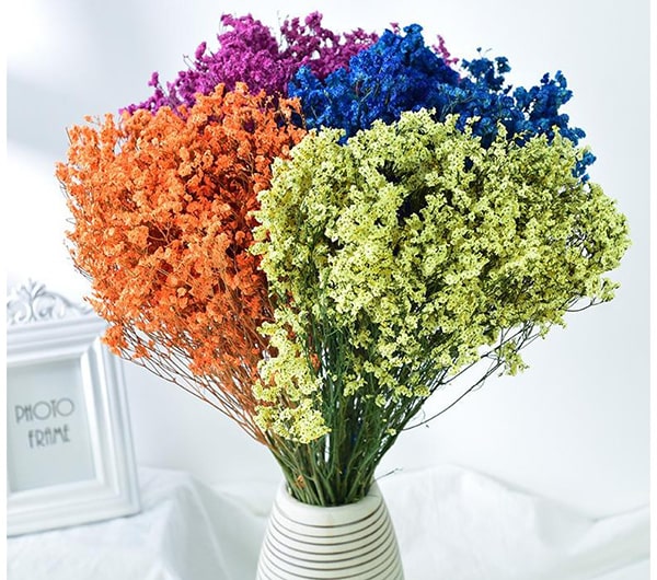 TOP 3 ĐỊA ĐIỂM BÁN HOA ĐẸP BẠN KHÔNG THỂ BỎ LỠ!