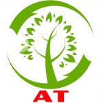 Top 3 Đơn Vị Cắt Tỉa Cây Xanh Uy Tín Và Chất Lượng Tại Hà Đông, Hà Nội