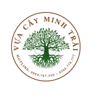 Top 3 Vựa Cây Kiểng Uy Tín Tại Đồng Xoài, Bình Phước