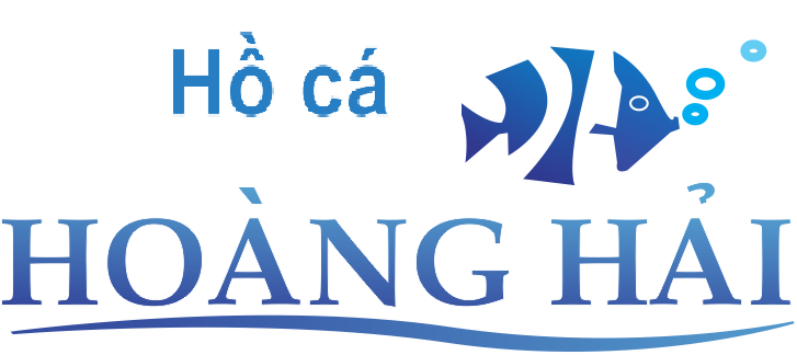 Top 3 Đơn Vị Thiết Kế Và Thi Công Hồ Cá Đẹp Tại Quận 3, Hồ Chí Minh