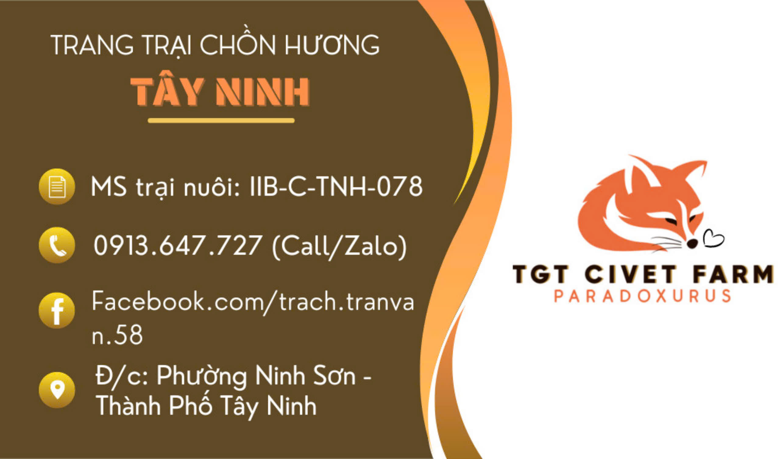 Chồn Hương Tây Ninh - Địa Chỉ Bán Chồn Hương Uy Tín Ở Tây Ninh