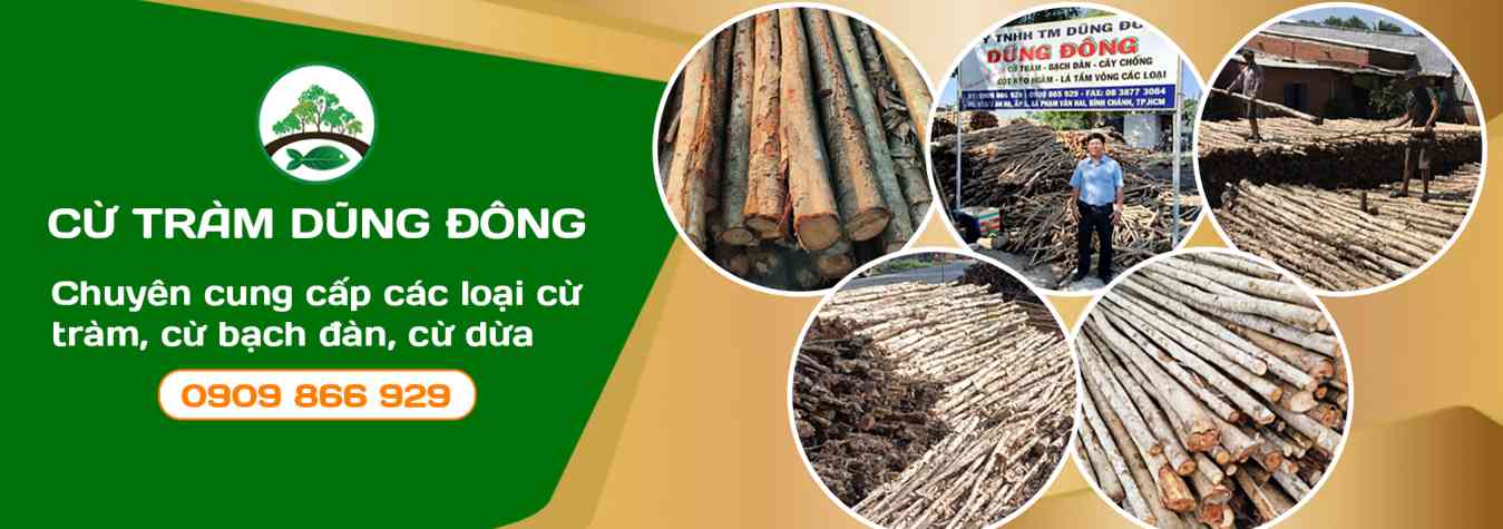 Top 3 Cửa Hàng Bán Cừ Tràm Uy Tín Và Chất Lượng Tại Bình Chánh