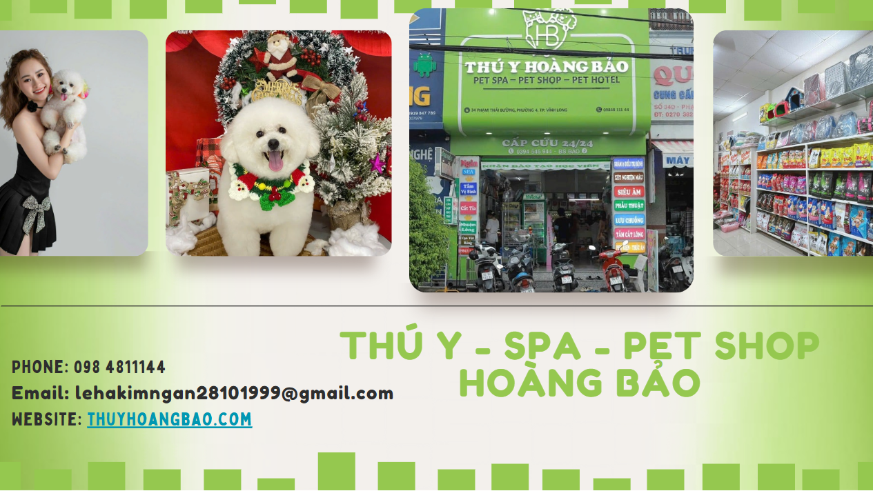 Top 3 Cửa Hàng Thú Y – Spa – Pet Shop Uy Tín, Chất Lượng, Giá Tốt Ở Vĩnh Long