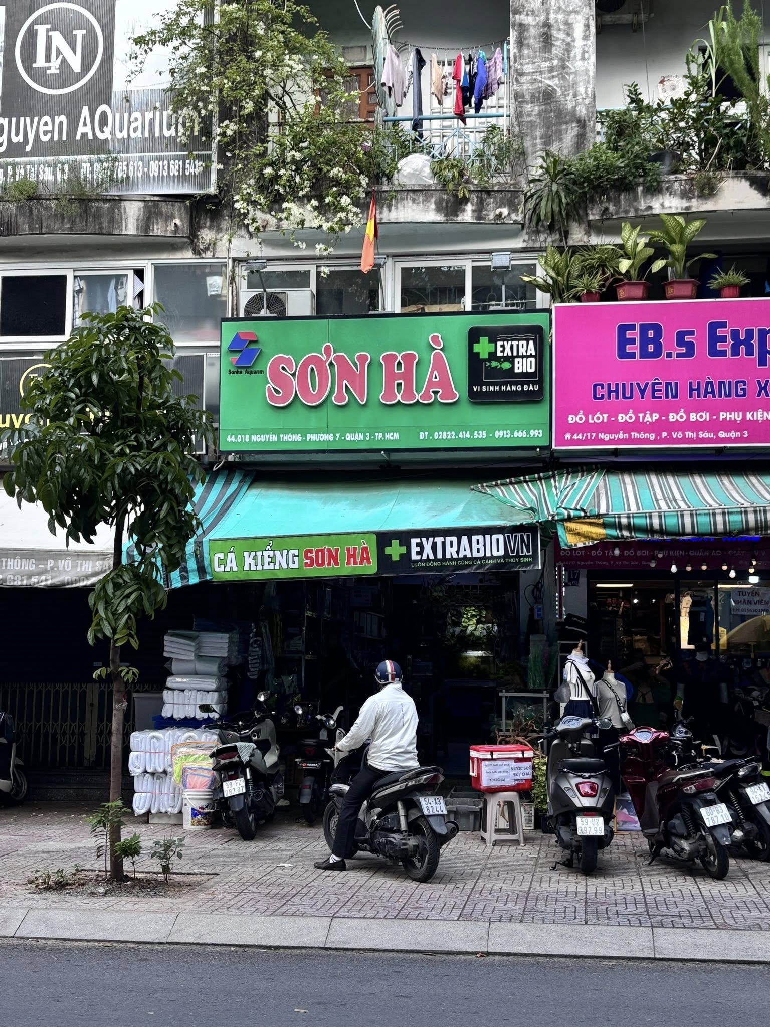 Top 3 Cửa Hàng Cá Cảnh Đẹp, Chất Lượng, Uy Tín, Giá Cả Hợp Lý Ở Quận 3