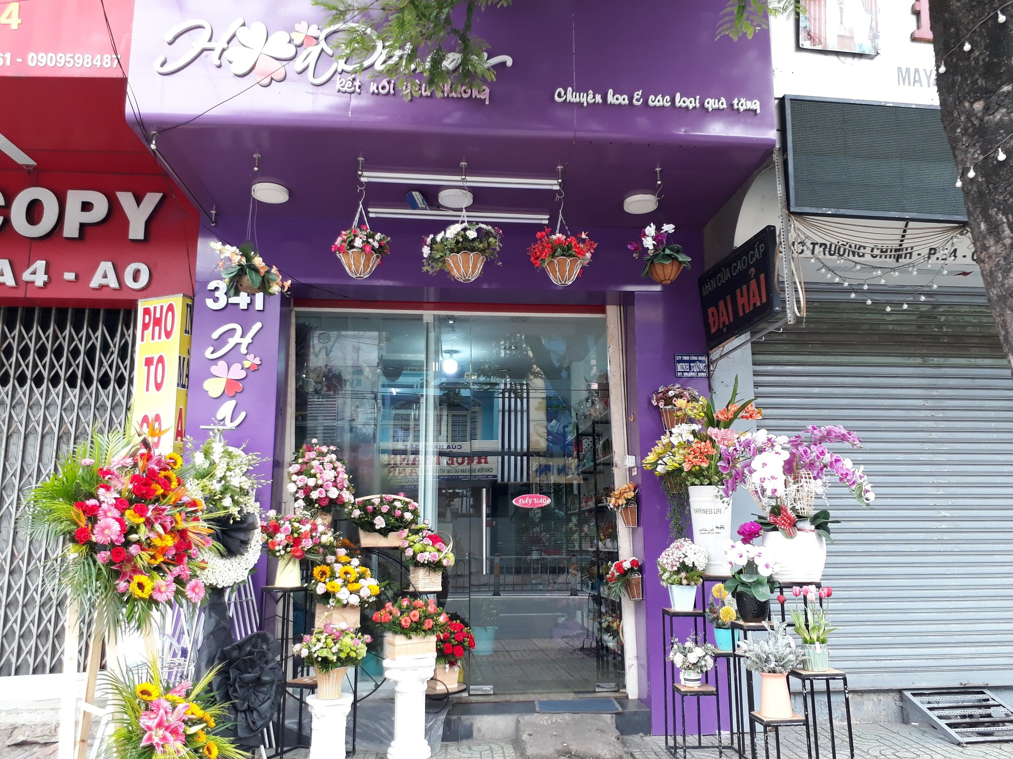 Top 3 Cửa Hàng Hoa Đẹp, Bền Lâu, Giá Rẻ, Giao Nhanh Ở Quận Tân Bình