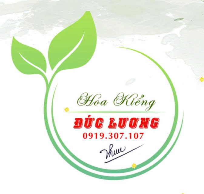 Top 3 Cơ Sở Hoa Kiểng Cây Cảnh Biên Hòa Uy Tín Giá Tốt Nhất
